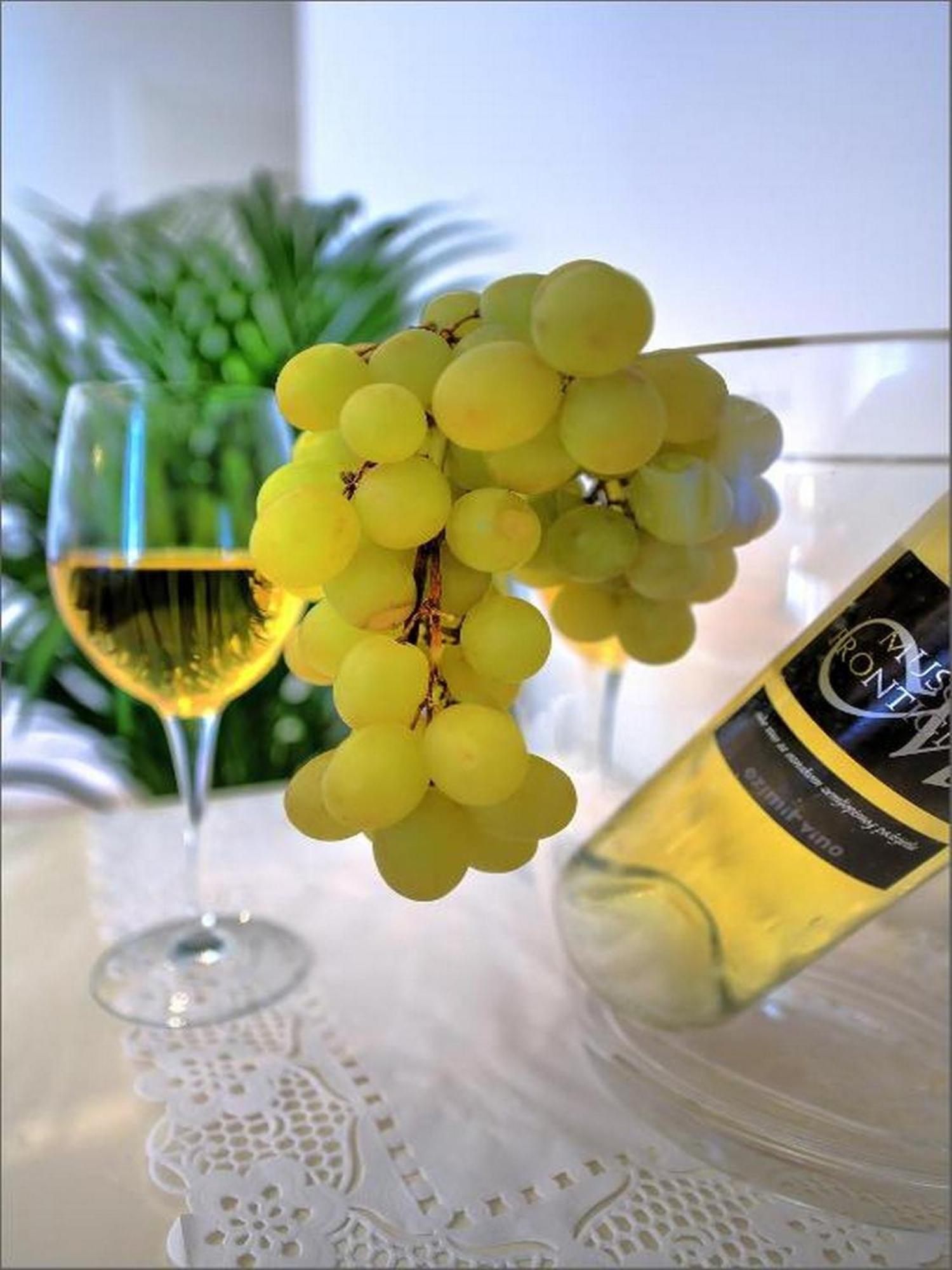 Via Porto Rooms 斯普利特 外观 照片